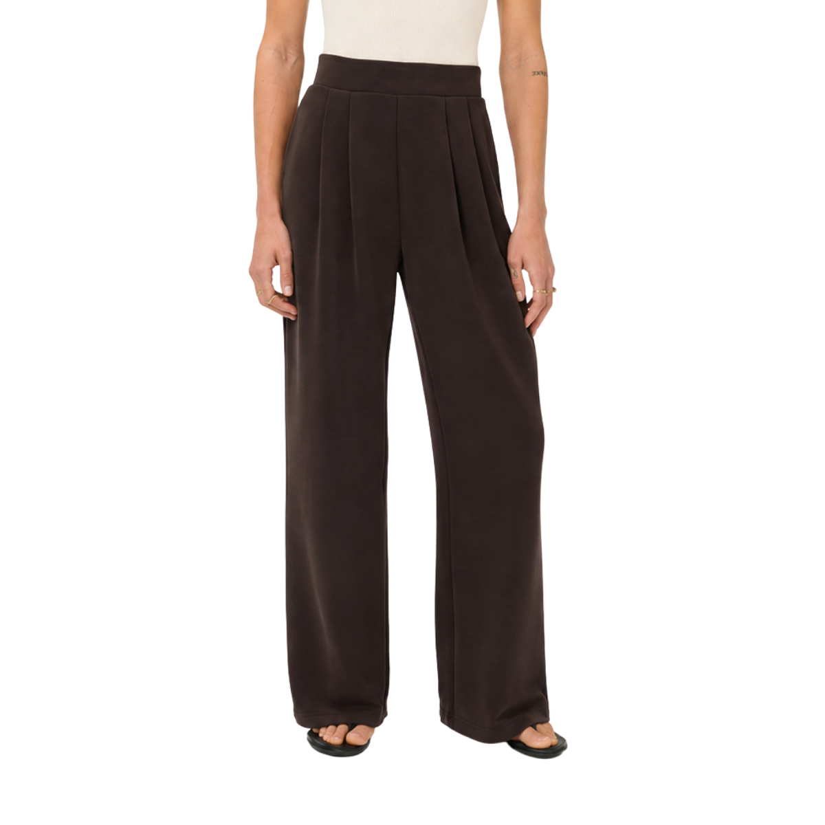 Sand Wash Wide Leg Pants Espresso