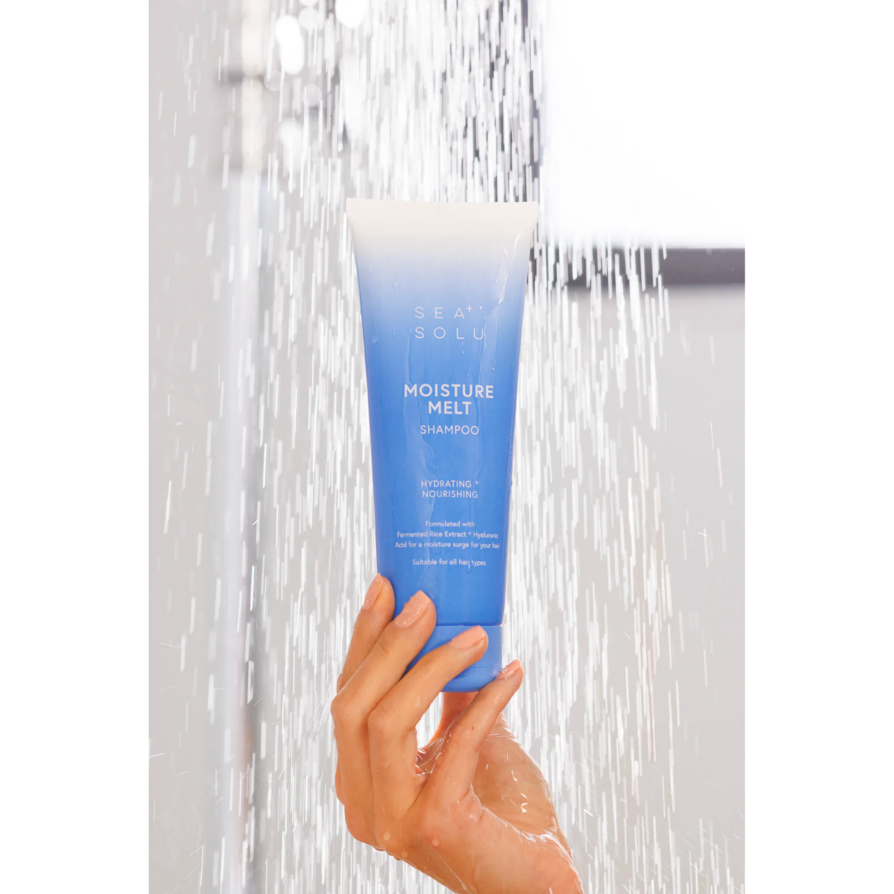 Moisture Melt Shampoo