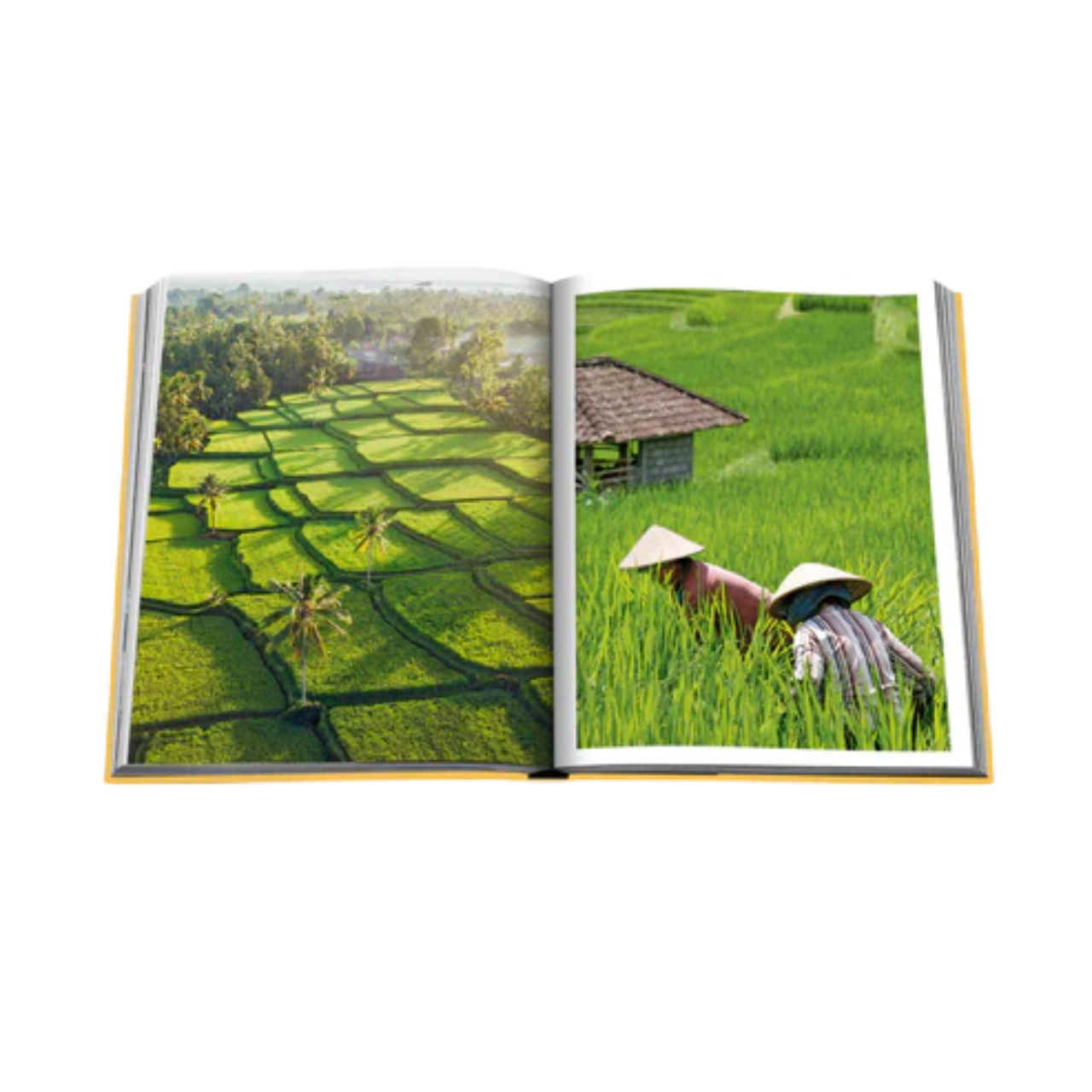 Bali Mystique