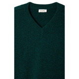 Raxon VNeck Men's Knit Cypress