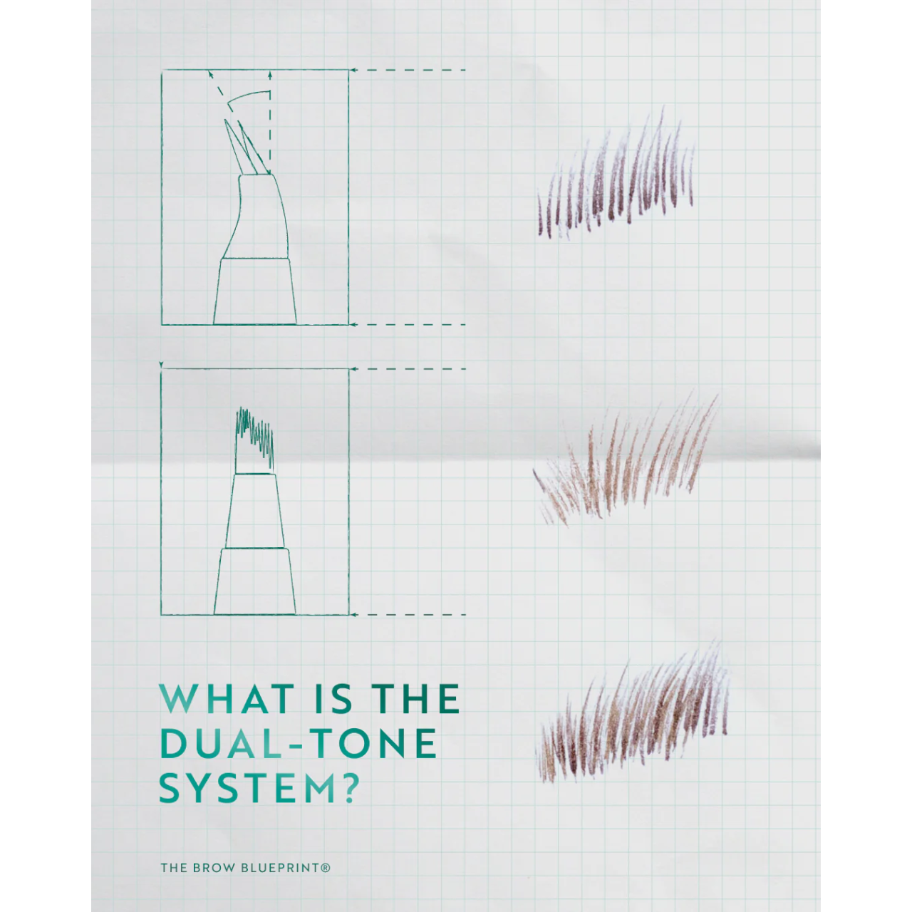 The Brow Blueprint