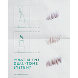 The Brow Blueprint