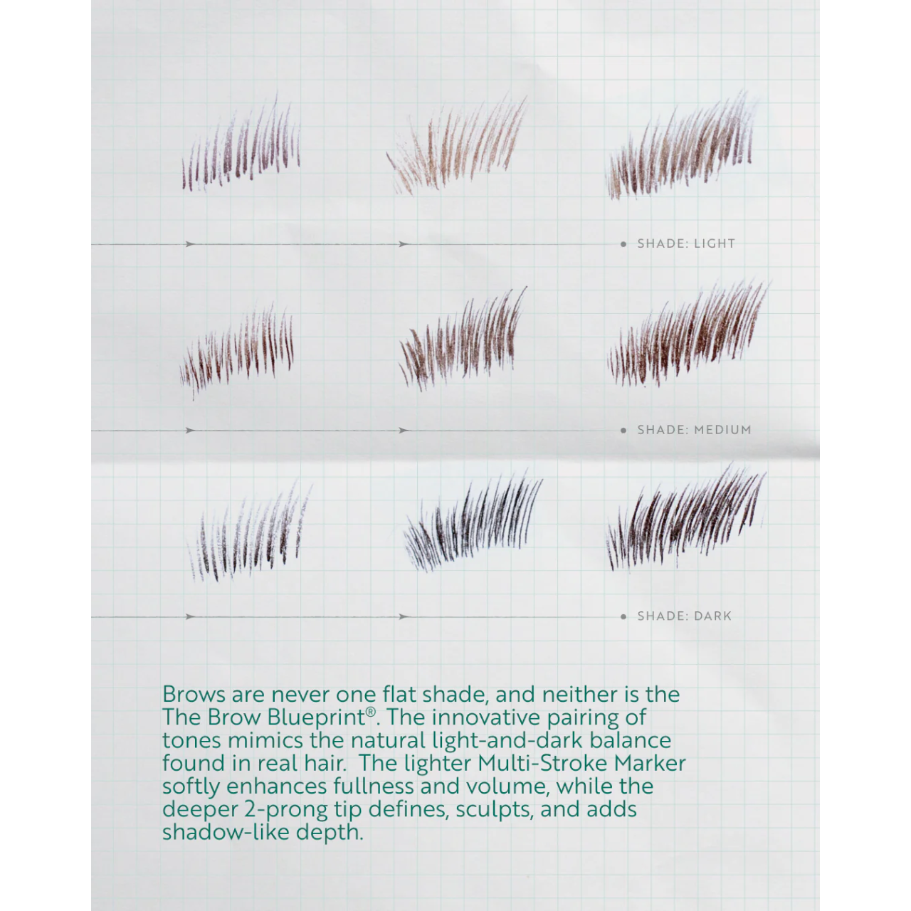 The Brow Blueprint