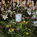 Positano Candle 270g