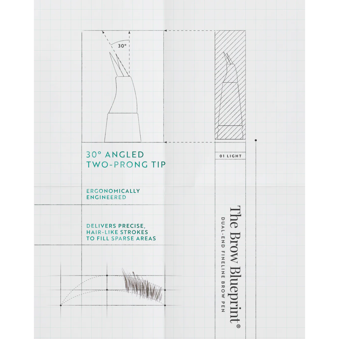 The Brow Blueprint