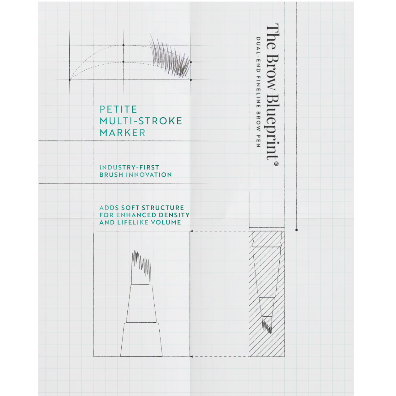 The Brow Blueprint