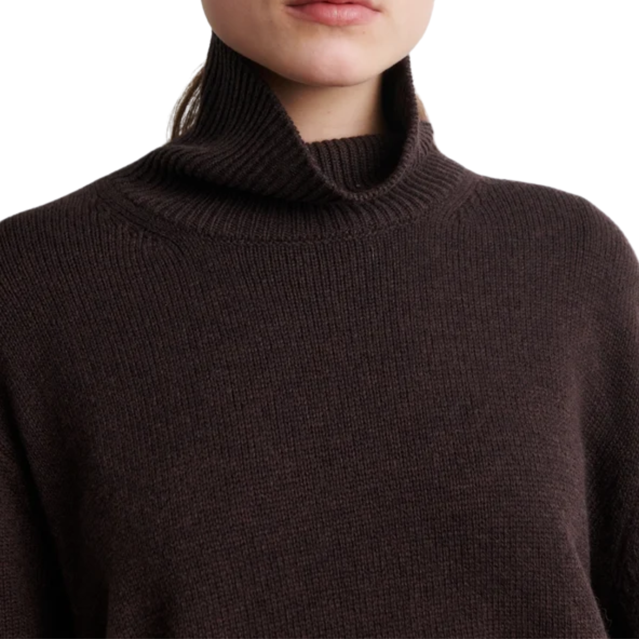 Alpha Knit T Neck Brown