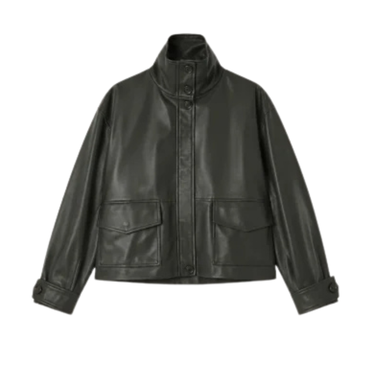 Alvann Funnel Neck Leather Jacket