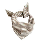 Pinstriped Cream Scarf
