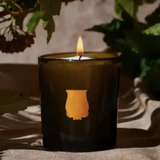 La Petite Ernesto Candle 70g