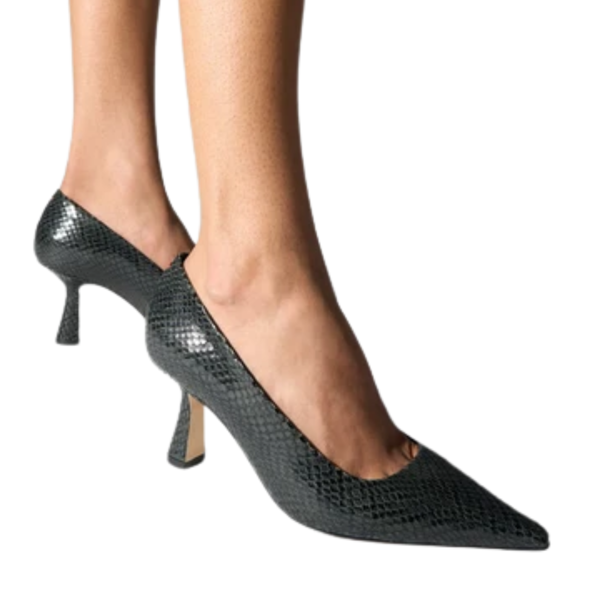 Zandra Mini Snake Moss