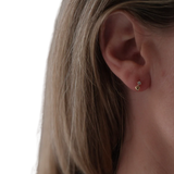 Amora Studs Gold